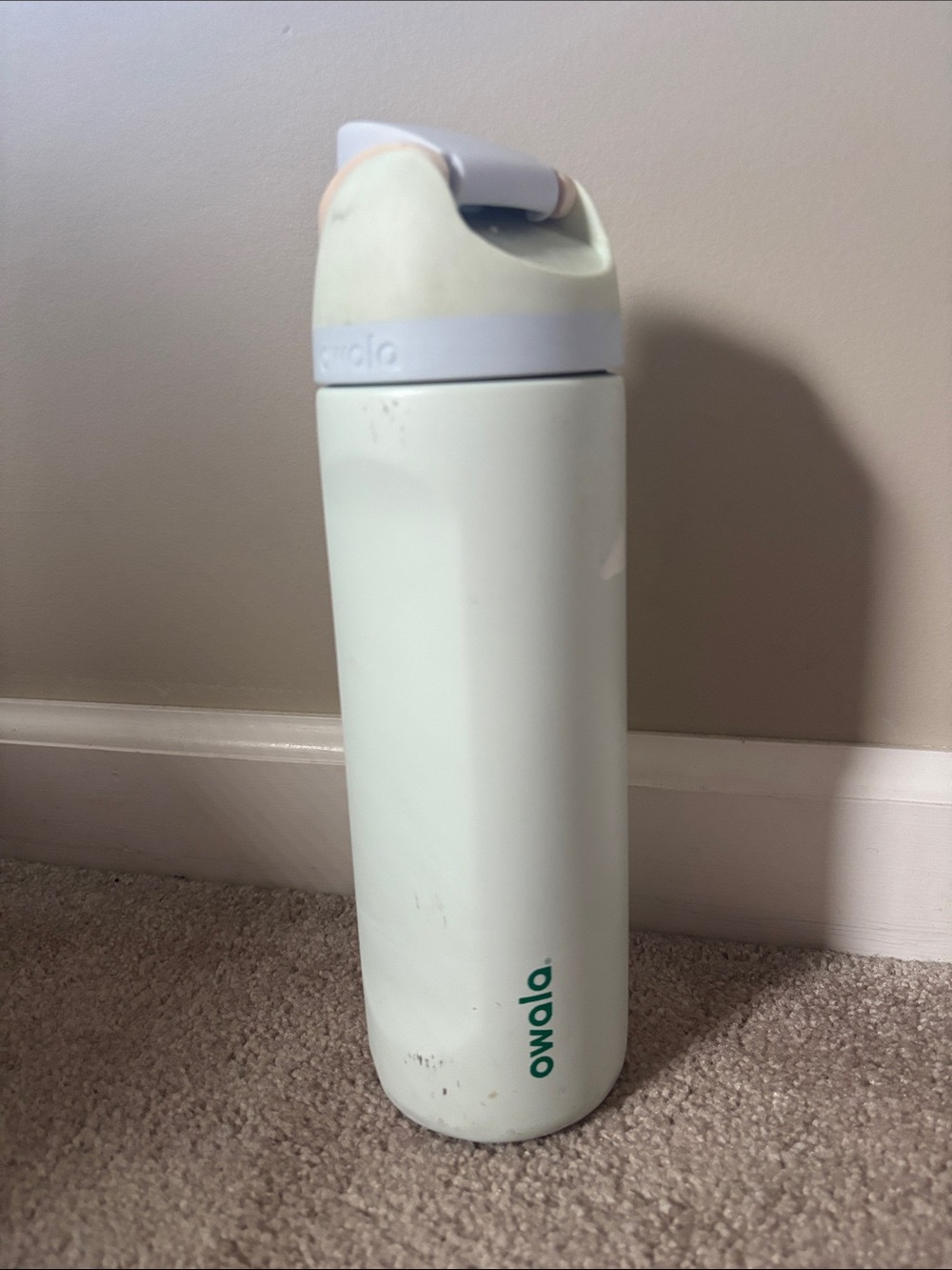 Owalo Mint Green Insulated Water Bottle with Flip Handle